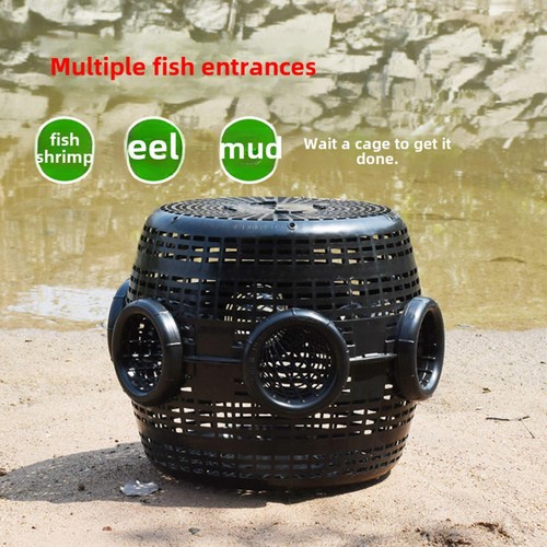 Gabbia pesca accessori - di,