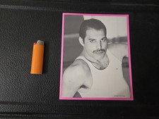 Freddie Mercury Personally