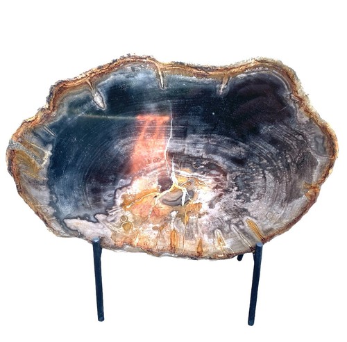 Molto bella fetta legno - bella,