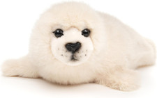 - Cane Di Mare Bianco – 32