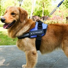 Pettorina regolabile per cani