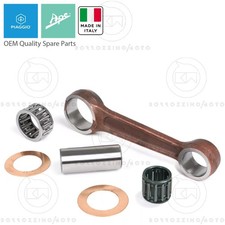 BIELLA COMPLETA SPINOTTO Ø 18