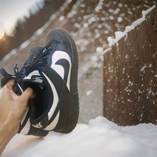 In vendita una Nike Dunk Low