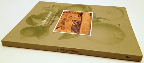 Giardini agrumi limoni - lz-,