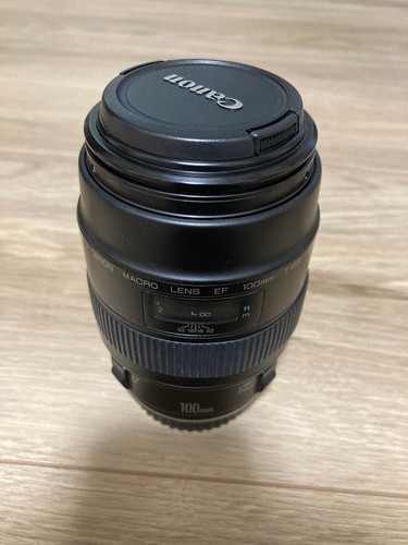 Canon 100mm 8 macro usm - 100mm, f/2.8