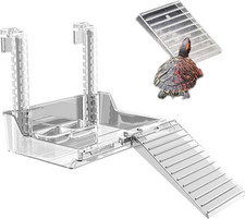 Rettile Acquatico Piattaforma