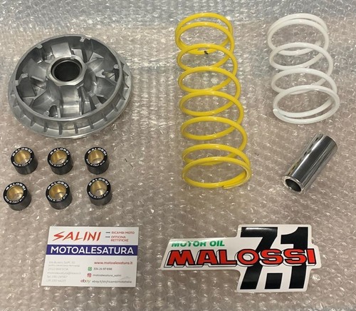Variatore malossi multivar - malossi,