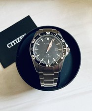 Citizen Promaster Aqualand Eco