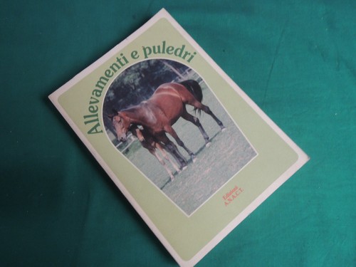 L68 allevamenti puledri - e,