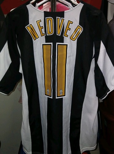 Pavel nedved 2010 - nedved, 2010-2011