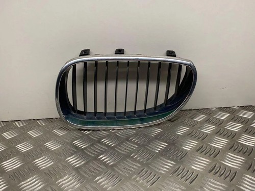 Griglia radiatore bmw - radiatore,