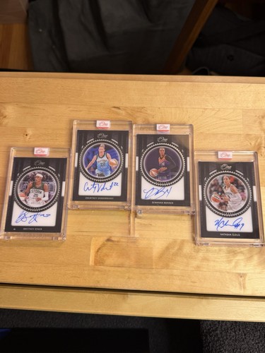 Lotto auto 2024 panini - 2024,