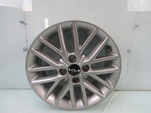Cerchio lega 15 pollici - cerchio,