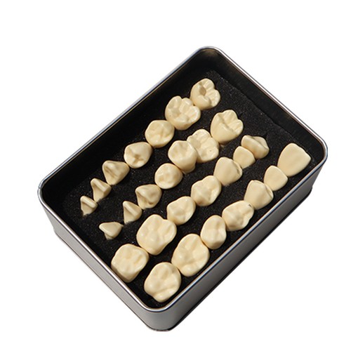 Odontoiatria studenti con - studenti,