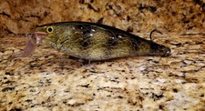 Rapala Super Shad Rap SSR-14
