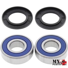 KIT CUSCINETTI E PARAPOLVERE