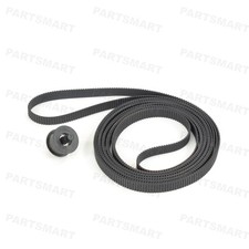 Q6659-60175 Cinghia di