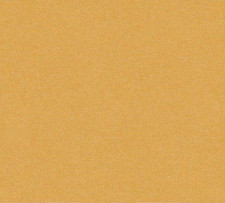 Carta da parati non tessuta