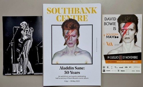 David bowie bologna - david,