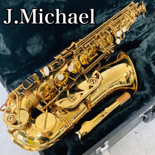 Usato michael j - j.michael,
