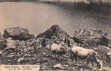 Cartolina acceglio lago - acceglio,