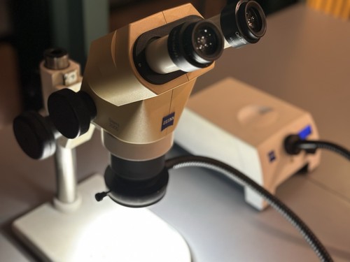 Microscopio stereo zeiss stemi - microscopio,