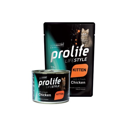 Prolife life style - life, kitten
