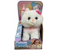 L'isola Dei Cuccioli Gattino