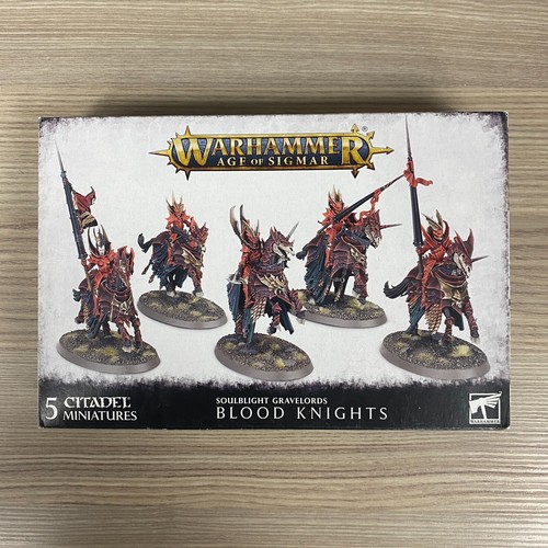Sangue cavalieri warhammer - 5,