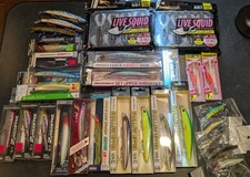 Set esche branzino Daiwa