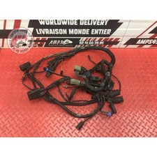 Faisceau électrique