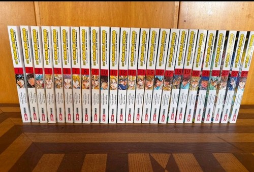Manga cavalieri dello - i,