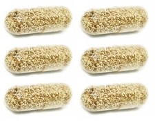 MOINA MACROCOPA UOVA ACQUA