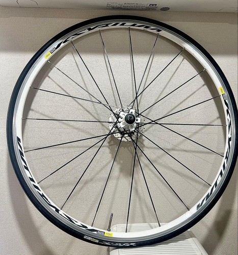 Ruota posteriore con cerchio
