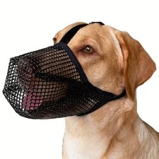 Museruola per cani protezione - cani,