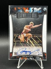 2025 Topps WWE Exalted Ilja