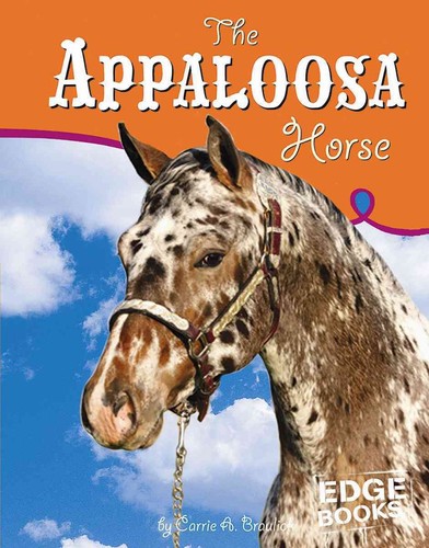 The appaloosa horse edge - appaloosa, (edge