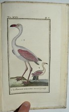 BUFFON - fig. 1792 - UCCELLI - PELLICANO - storia naturale - 7 TAVOLE