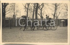 1930 MILANO Fiera - 1^ Mostra