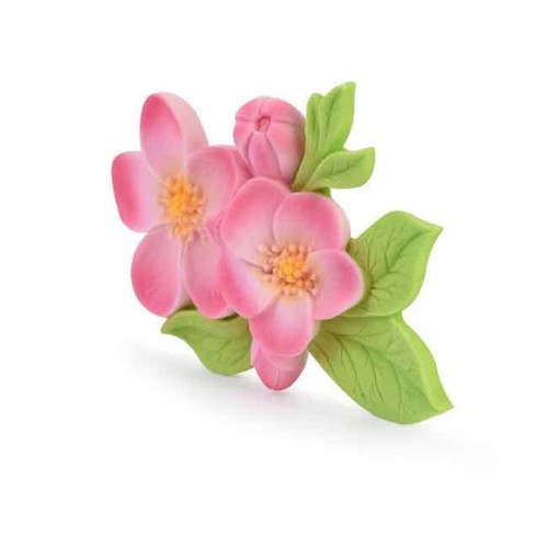 Fiore pesco zucchero - fiore,