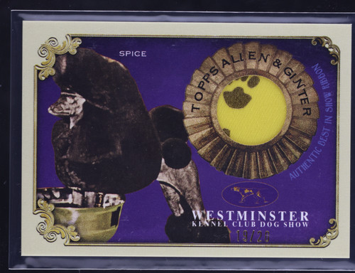Spice 2024 topps - spice,