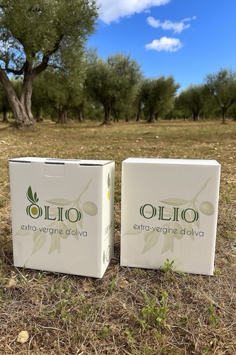 Bag box litri olio - in, 5