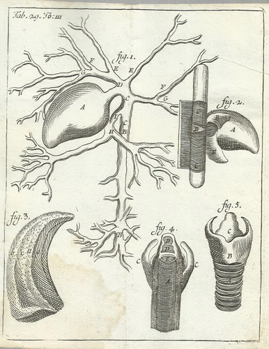 MEDICINA_ANATOMIA_APPARATO
