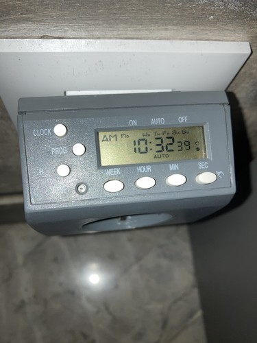Termostato digitale terrari - termostato,