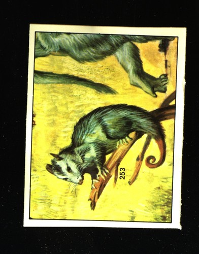Animali preistorici - preistorici, (1974)