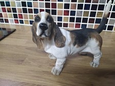 Leonardo Collection 'Bassett