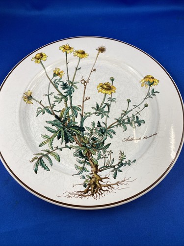 Villeroy boch piatto - &,