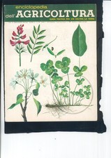 Enciclopedia dell'Agricoltura