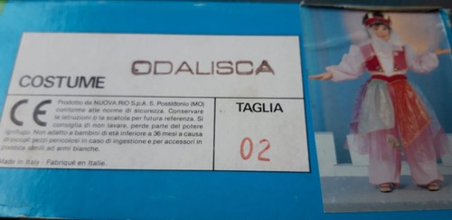 Costume carnevale odalisca - costume,
