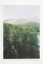 GERHARD RICHTER: "Waldhaus"